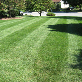 LP63764: Grass Groomer Attachment for 48/54 inch Accel Deep™ Deck