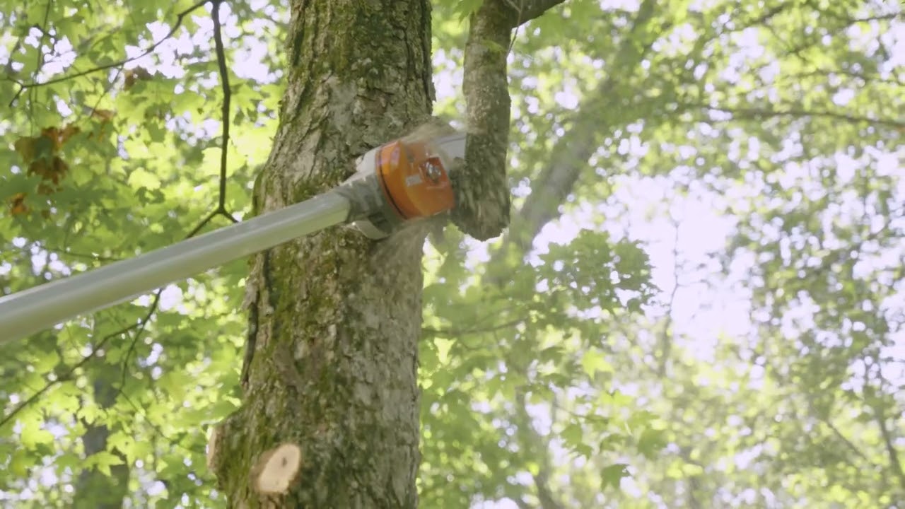 e451e2fd-182e-43c7-c1a2-08dccdbec9c9