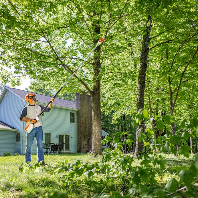 c567a209-3607-494c-945e-08dd8993f4c0