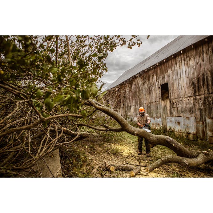 47ca7db3-ff73-4bd7-3ae6-08dda8e57387