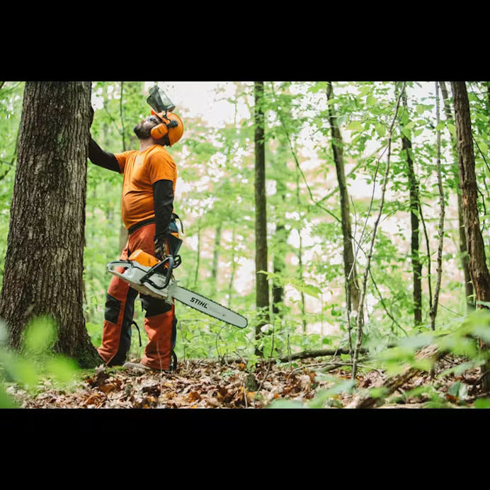 6944f4c9-096d-4ae7-30f4-08dcb17861ba