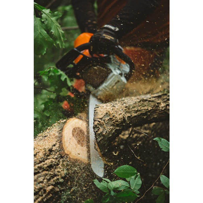 a153dba1-7f8f-4da9-c820-08dda3861bcc