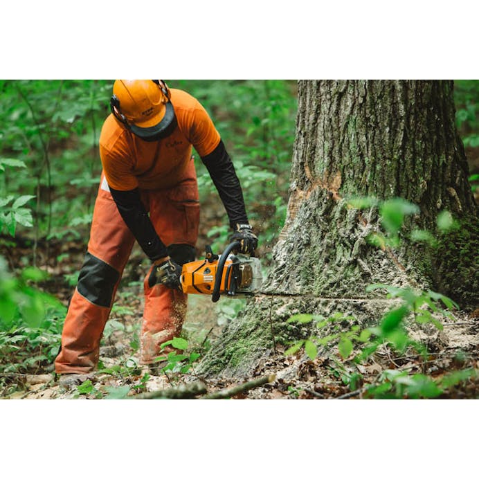 Man cutting down tree with a Stihl Chainsaw