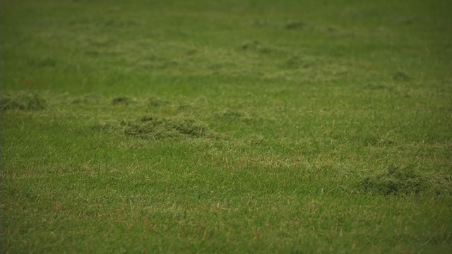 John Deere X730 Signature Series 2 WD Tractor Only